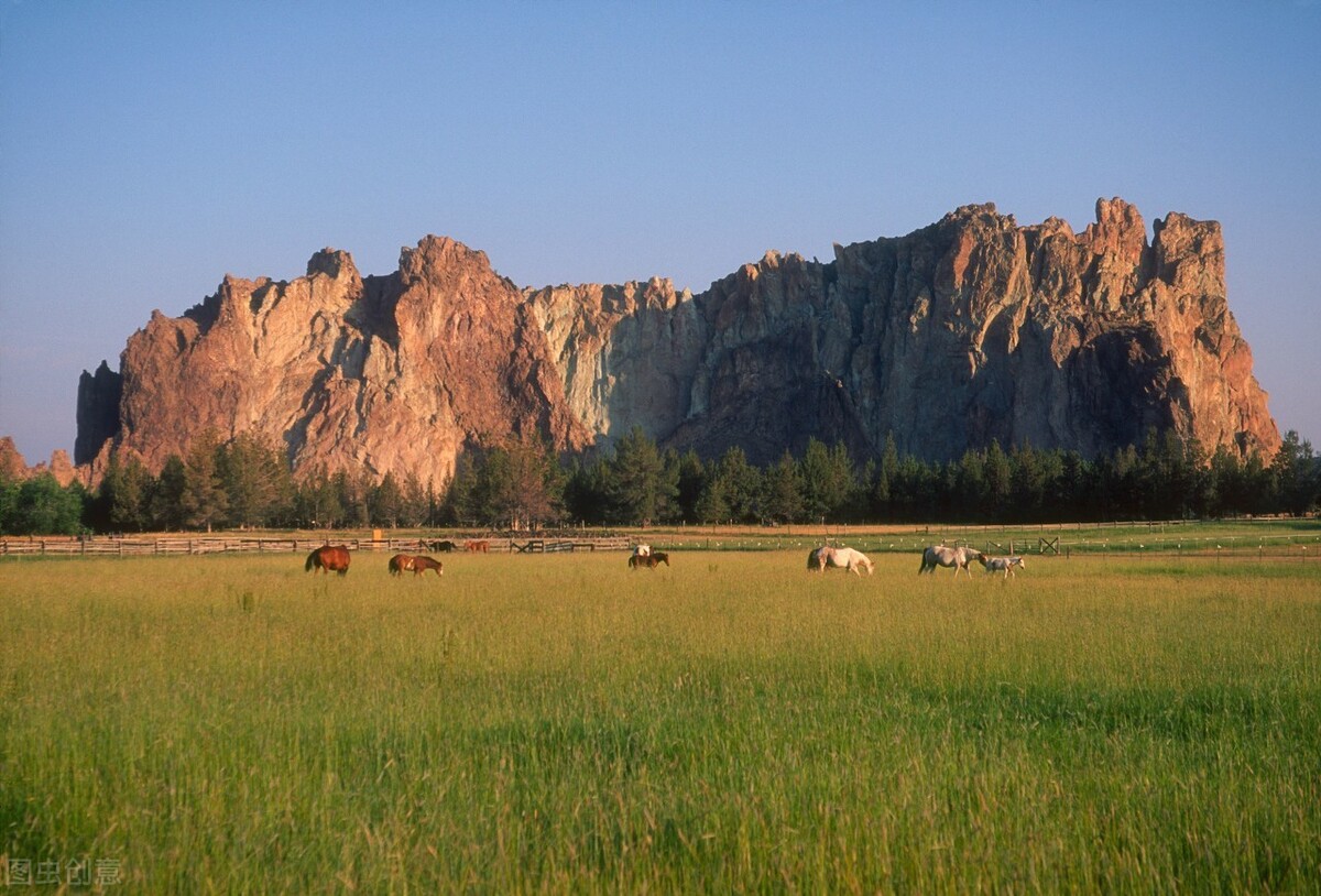 市场买的半成品牛肉正确做法,卖鲜牛肉经验之谈