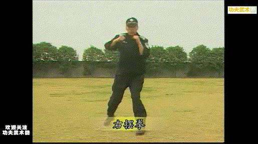 中国特警格斗详细教学视频,特警拳教学视频