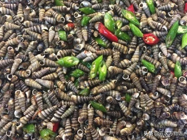 锥螺也叫钉螺吗,钉螺与锥螺都能吃吗