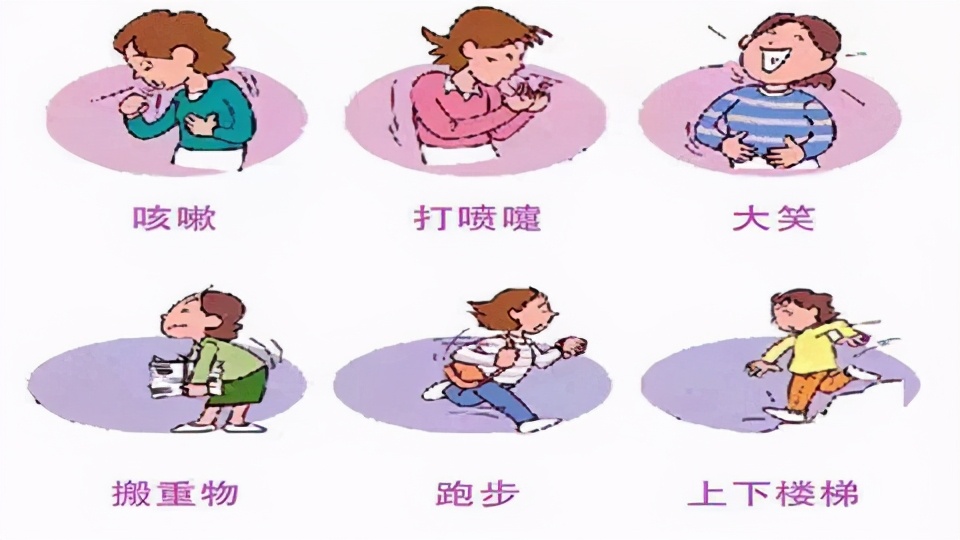 新型癌症你家也有?汽车、宠物体检——你的盆底肌可曾体检?