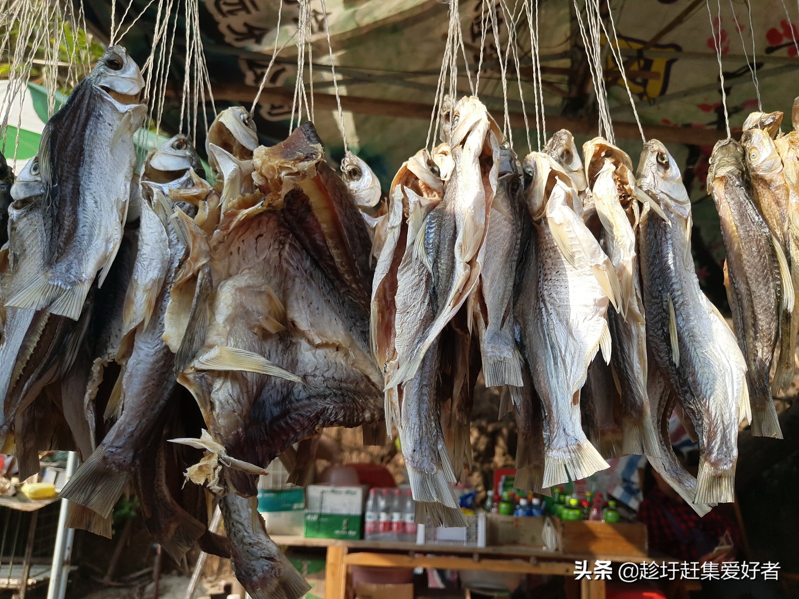 北江渔村河鲜栈道,清远白庙渔村攻略