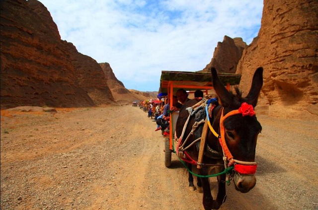 国家级乡村旅游示范点名单,100家乡村旅游示范村