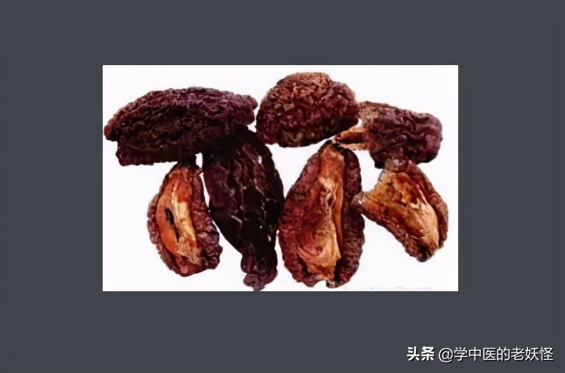 每日一药砂仁,每日一药木瓜