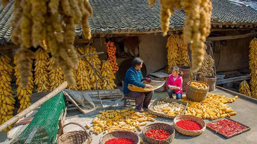 来迟了古诗词,来迟了原版