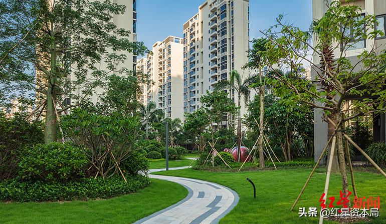 珠海最大“地主”世荣兆业前董事长涉黑，传已滞留境外，检举最高奖50万