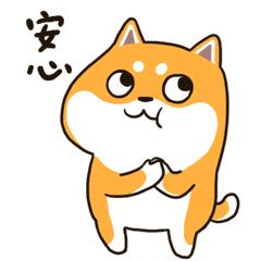 通过便便观察动物的健康,怎么判断宠物大便是否正常