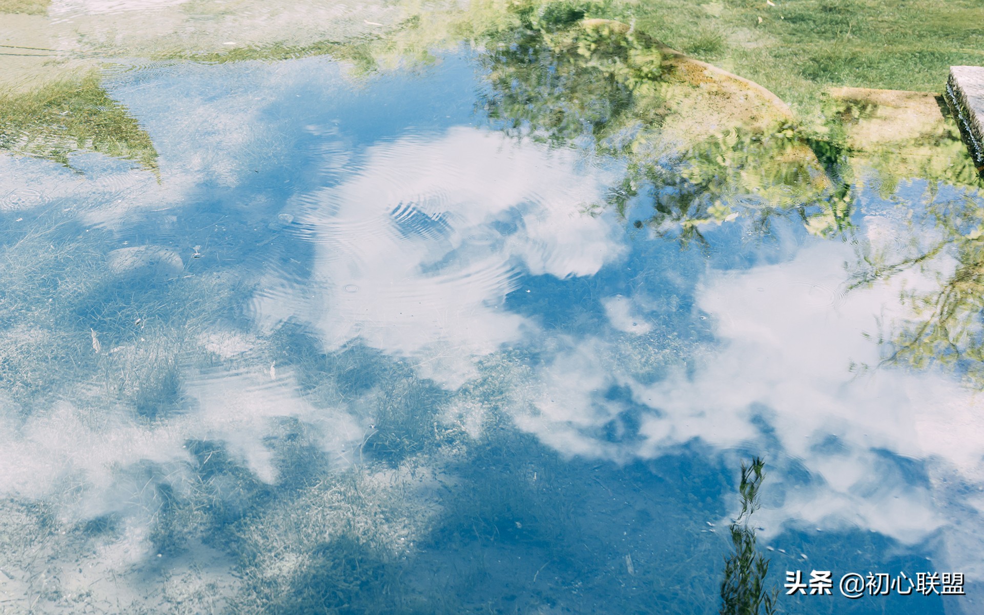 日语专业跨专业留学,日语专业跨专业考研