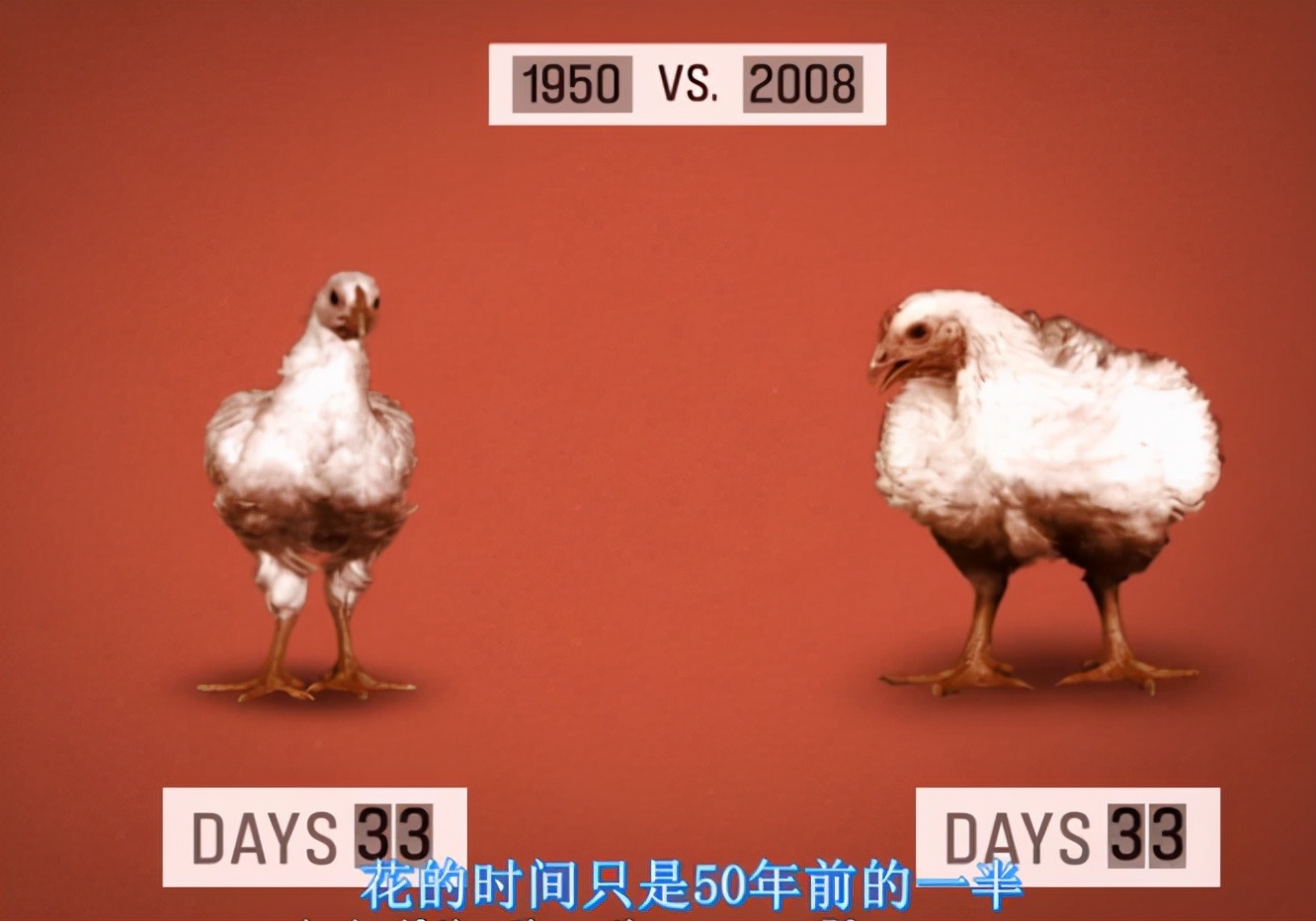 疯牛病牛吃牛骨饲料,牛吃了牛骨饲料会得疯牛病吗