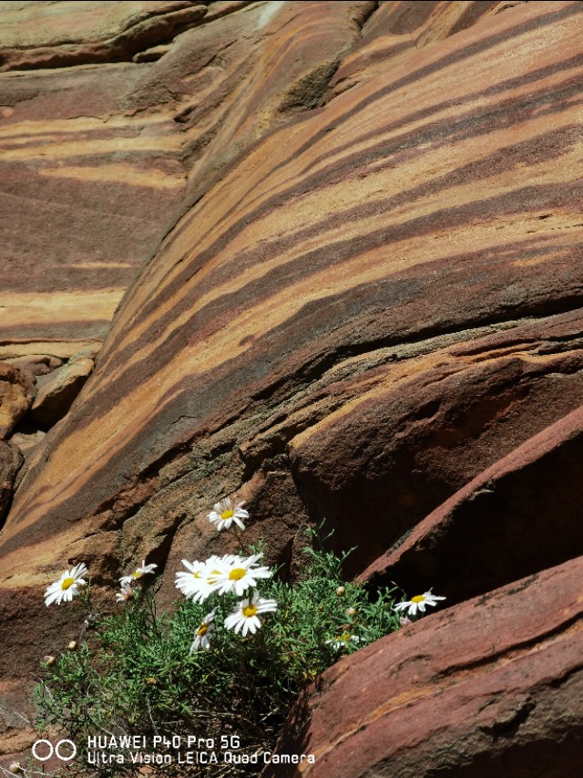 唐人游玩,唐人天下国际旅游夜游长城