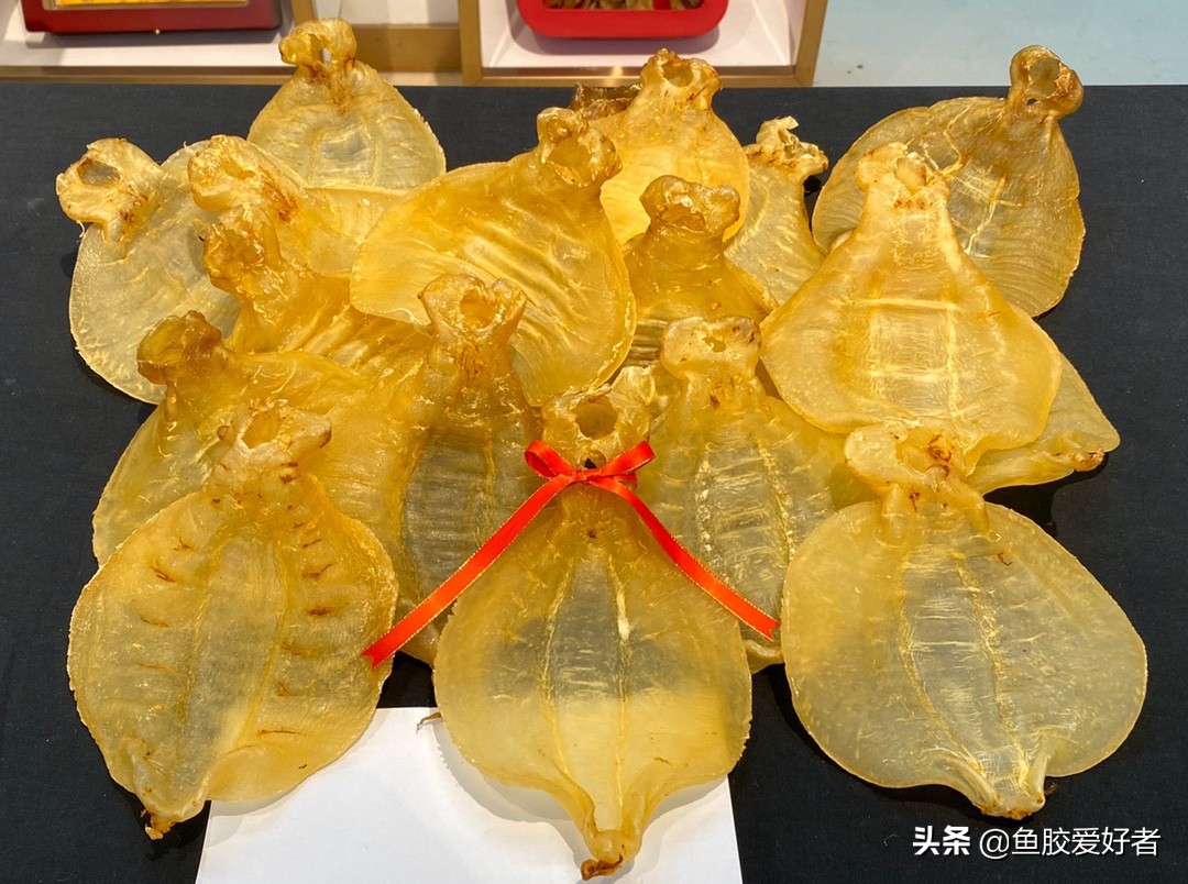 买鱼胶为什么,买鱼胶的技巧视频