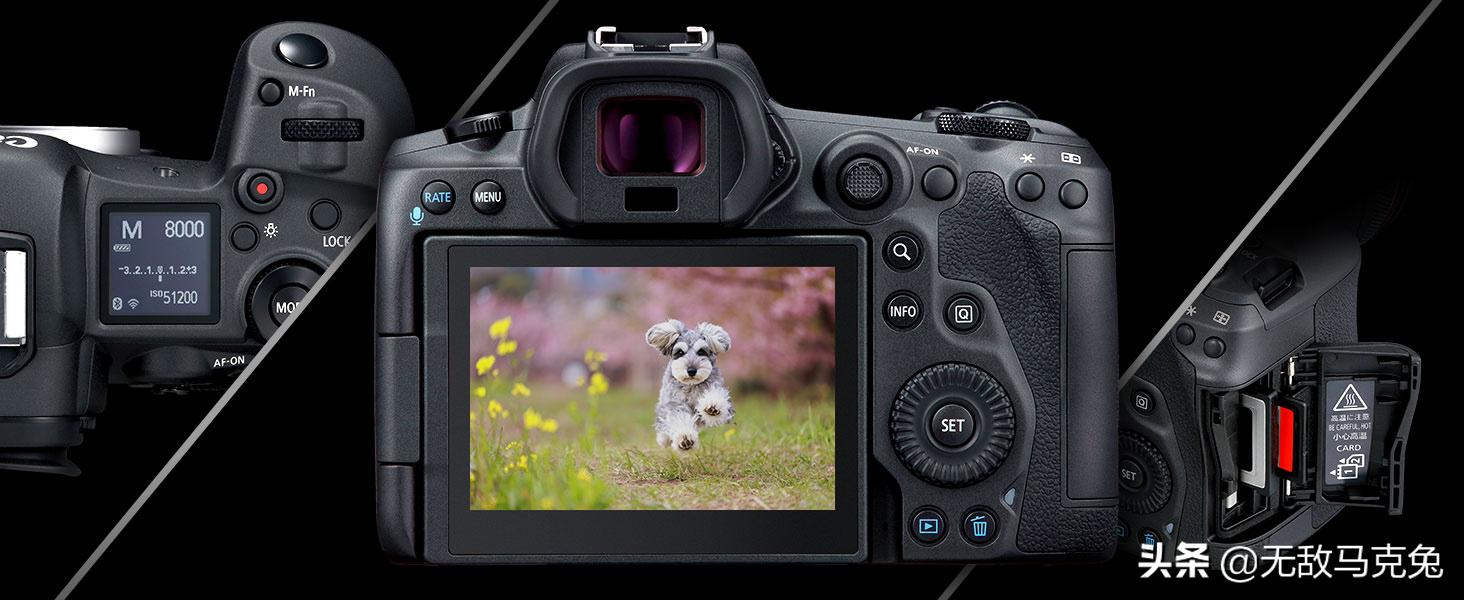 2023佳能相机推荐,2022公认的最好佳能单反相机