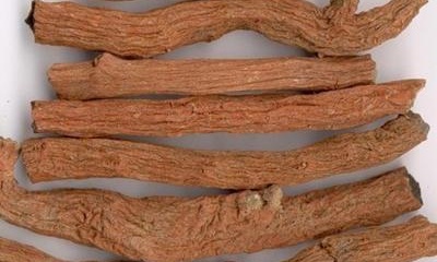 《中国药典》收载，带“参”字中药的药性与功能主治总览