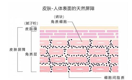 t区出油是什么肤质两颊起皮,冬天鼻子两颊起皮是什么肤质