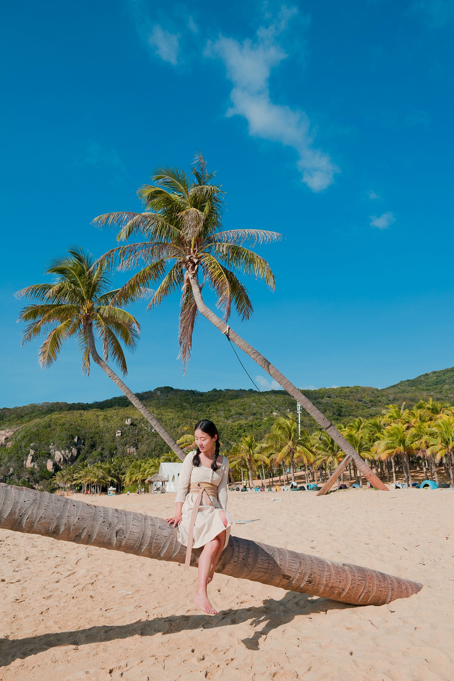 你在南方瑟瑟发抖，我在这里遛娃、看猴、赶海····