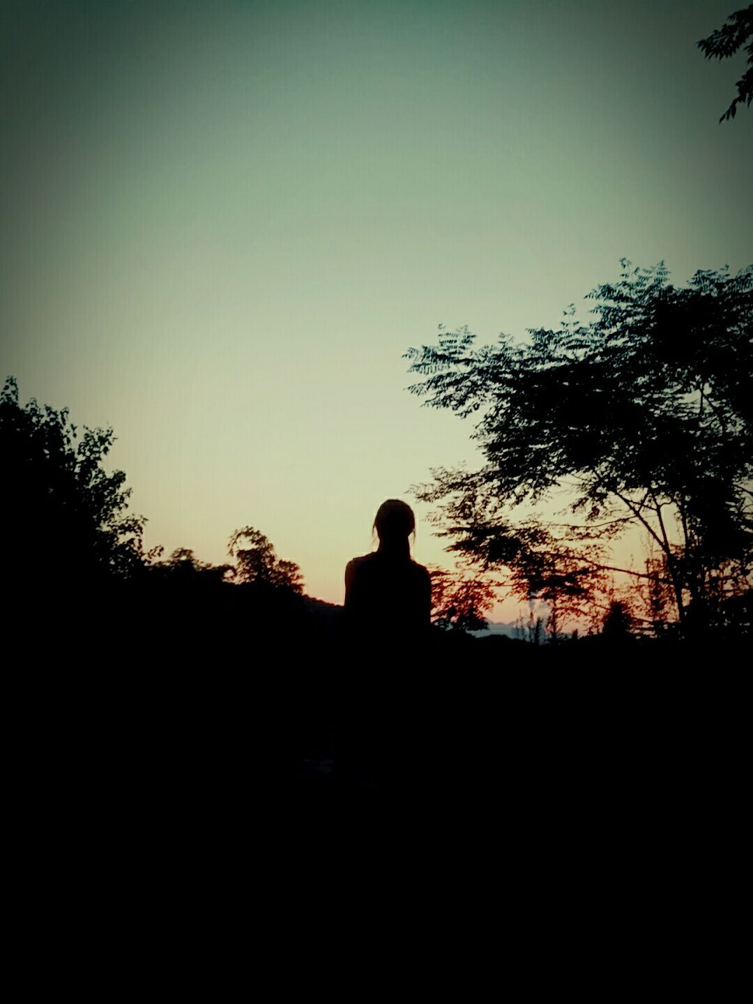 越过山丘才发现无人等候什么理解,越过山丘才发现无人等候意思