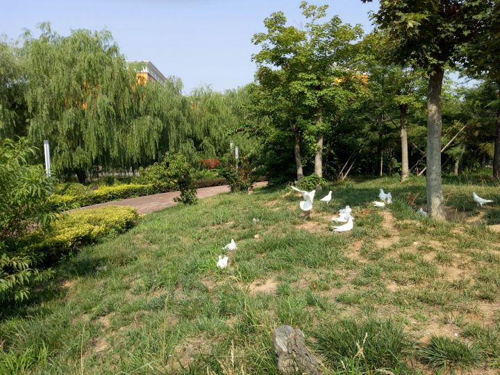 山东昌邑市第一中学,山东前十高中昌邑一中