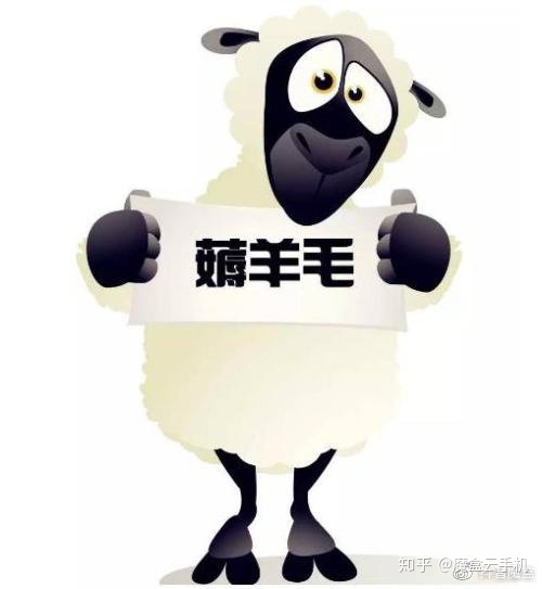 什么是“薅羊毛”？揭秘羊毛*党**的超级*器武**