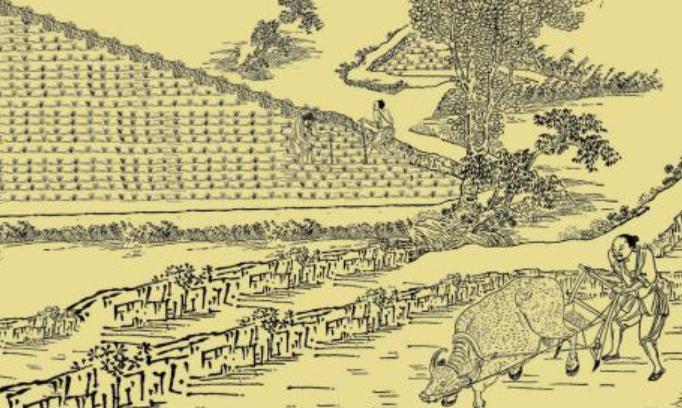 北宋时期社会发展特点,北宋农业生产技术提高的表现