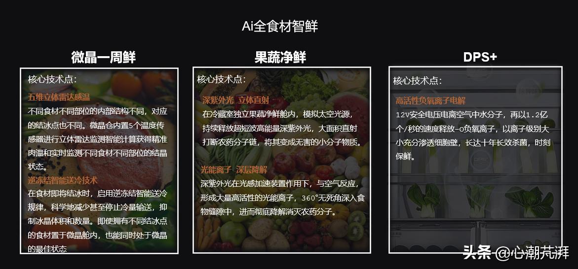 日系冰箱与德系冰箱哪个好,日系德系冰箱对比