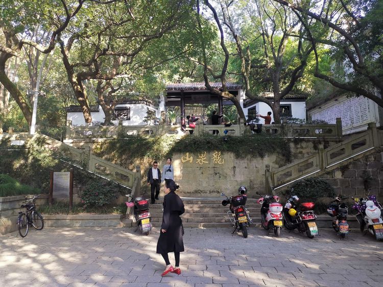 宁波市余姚市阳明古镇,游宁波余姚阳明古镇