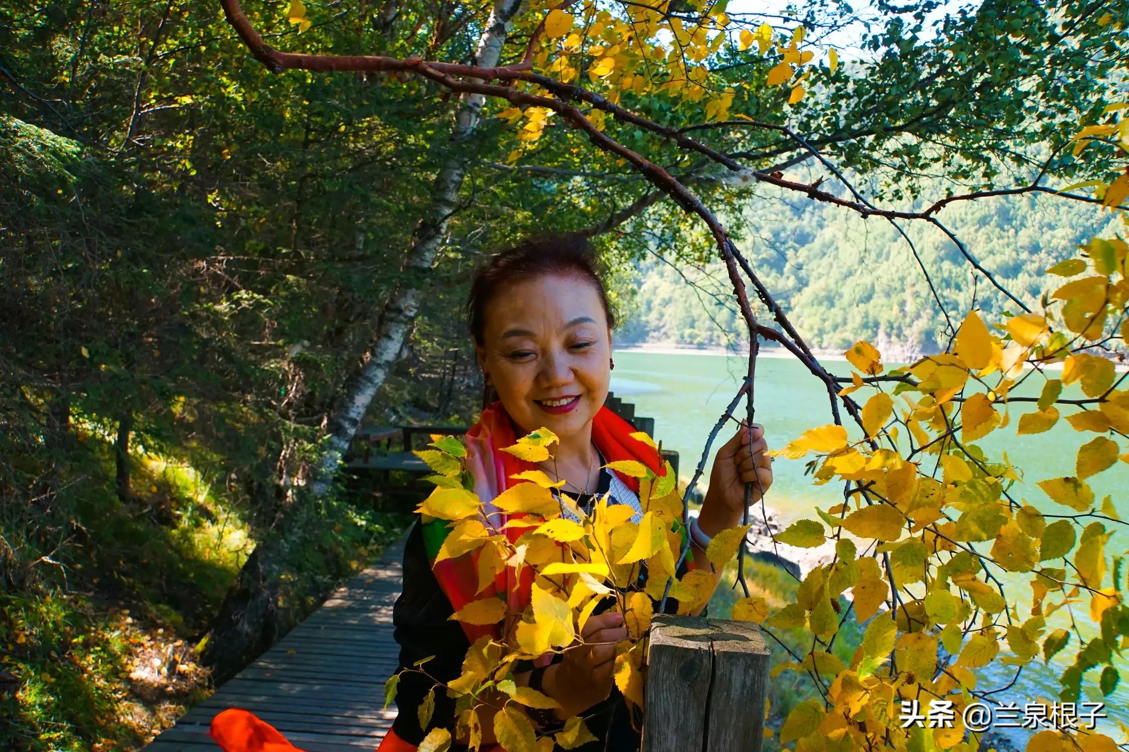 秋日之旅旅游攻略,秋日自驾游视频