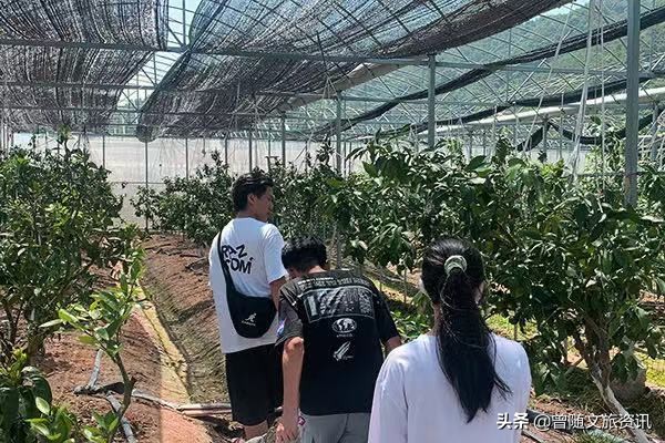 上海石浦镇,云南石浦镇