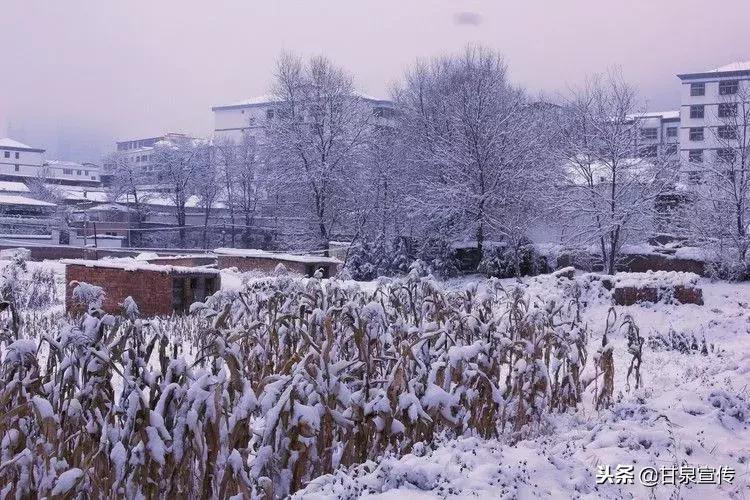 延安2019年第一次下雪是什么时候,延安初雪的时候