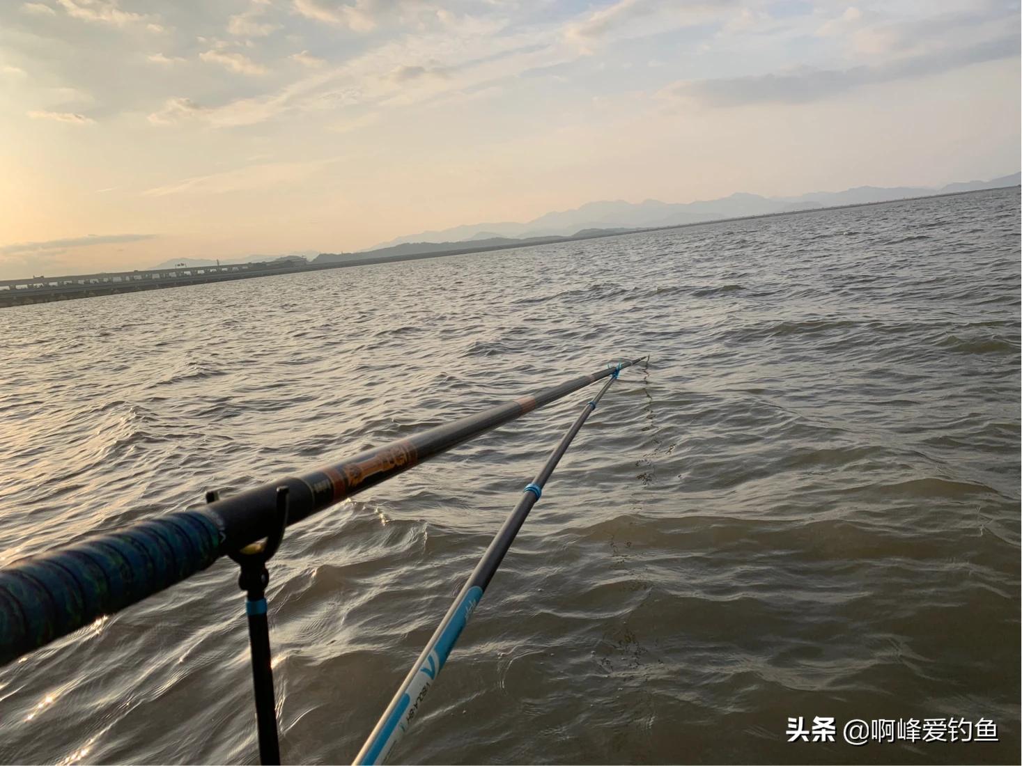 钓草鱼方法用什么饵料野钓,钓草鱼绝佳配方