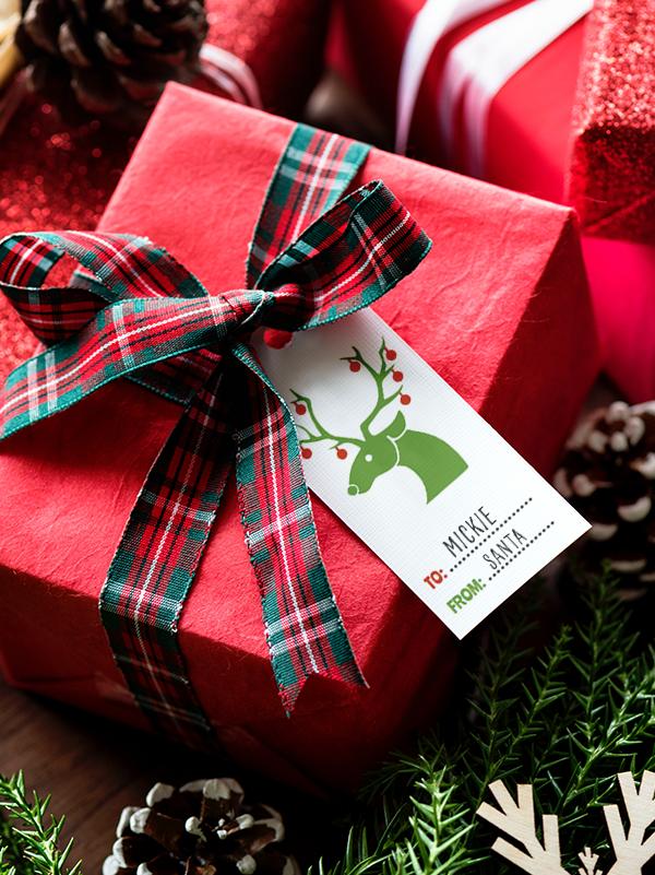 芬腾奢华浪漫内衣,芬腾秒杀打底