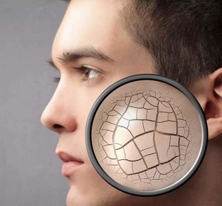 四倍差价“差”在哪?352VS巴慕达谁能拯救干燥冬季?