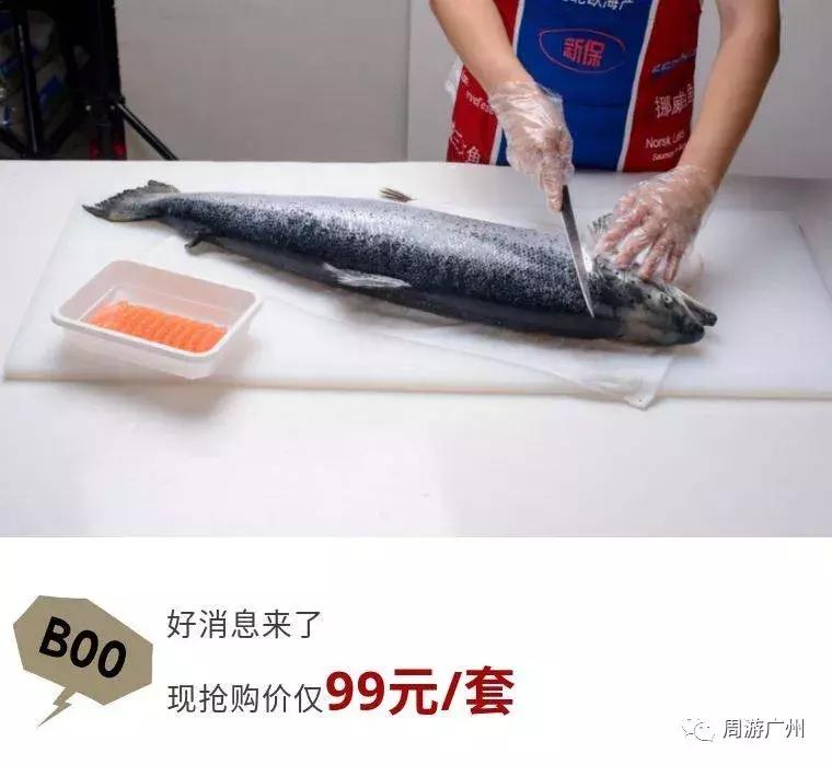 深圳挪威三文鱼官网价格,永鲜挪威三文鱼