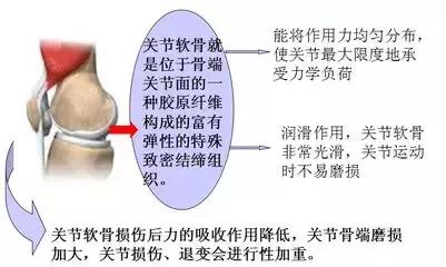 膝盖关节受冷疼痛解决最好办法,冬天膝盖疼痛的原因和解决方法