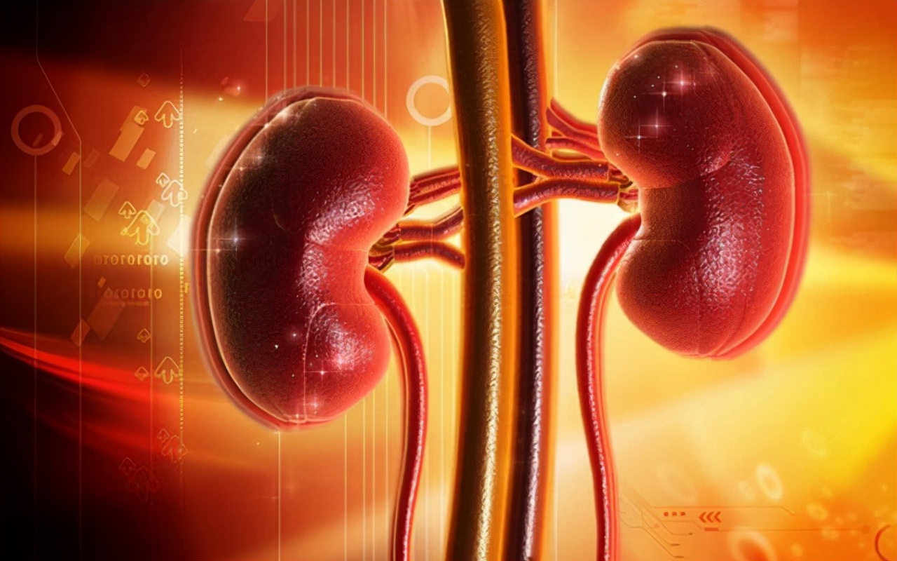 杩囨晱鎬х传鐧滃睘浜庨噸澶х柧鐥呬箞,杩囨晱鎬х传鐧滃睘浜庨噸澶х柧鐥呭悧