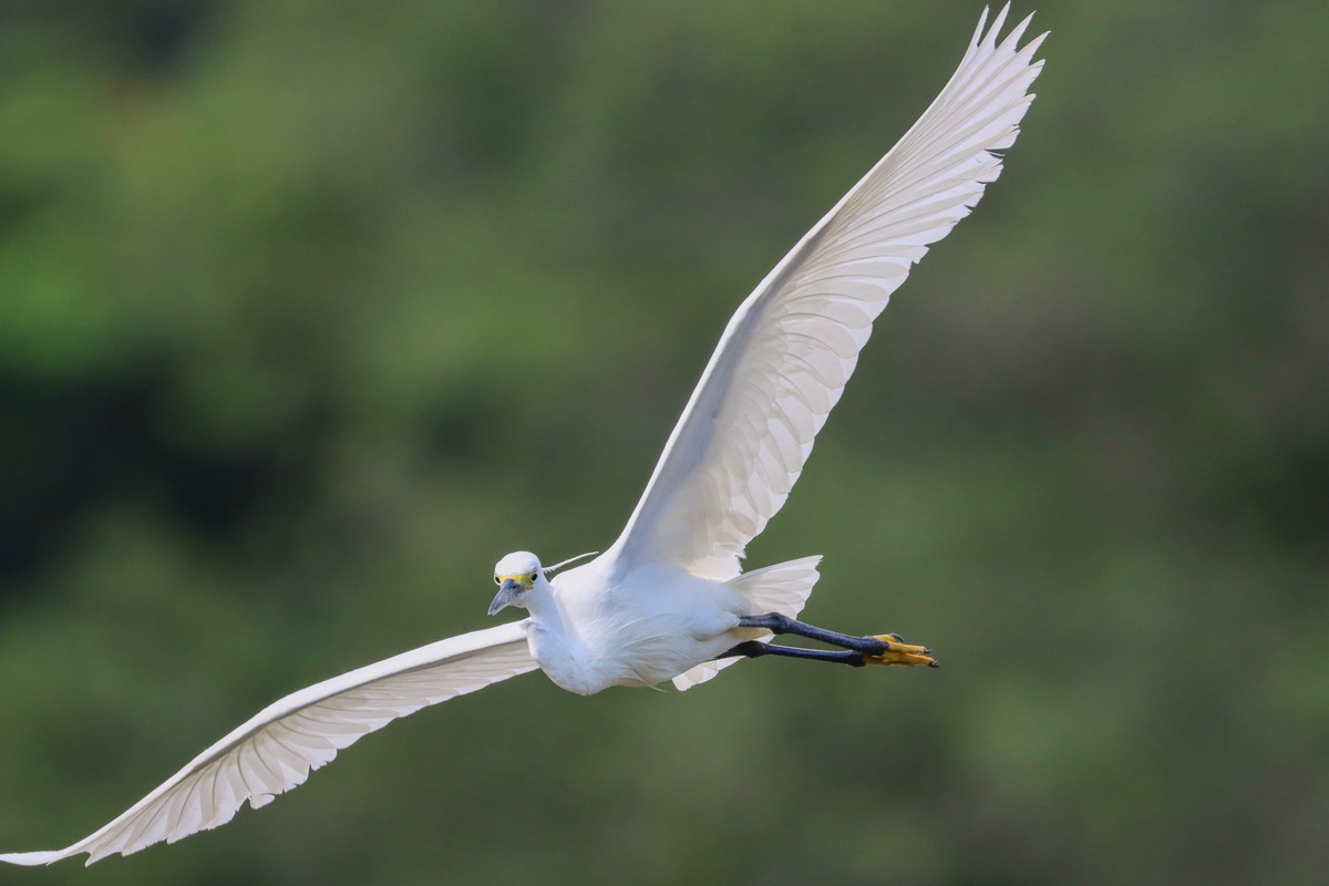 佳能eos90d适合拍产品么,佳能eos90d拍摄效果