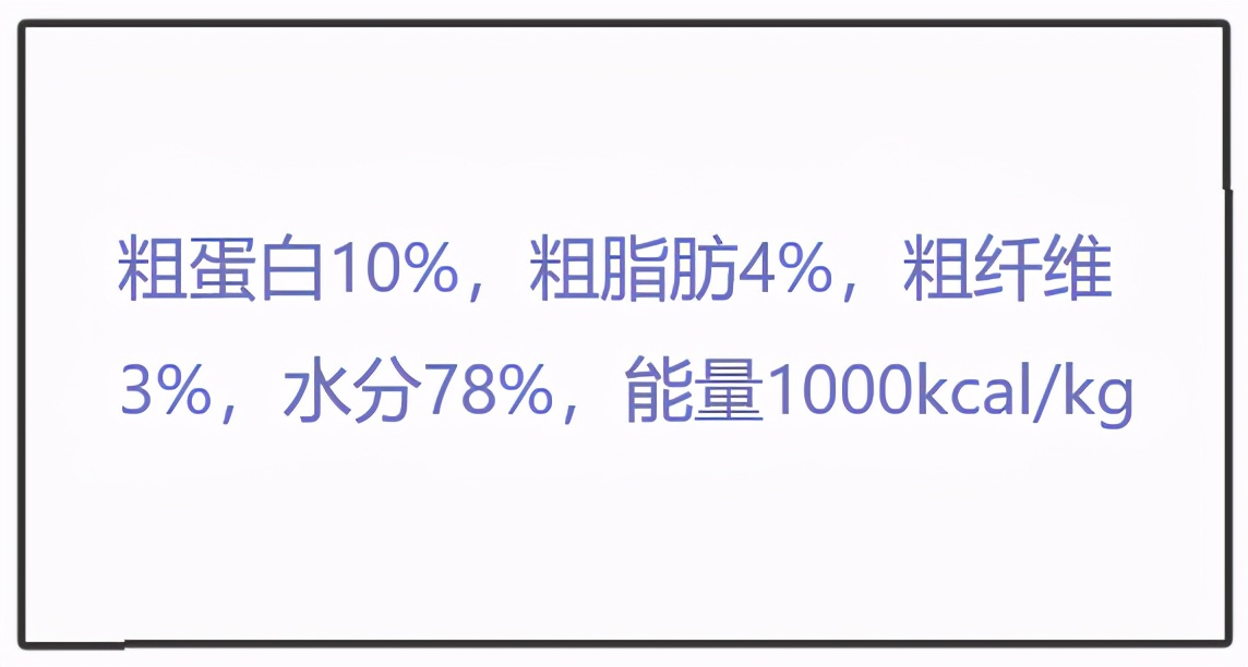 养肥猫的技术视频教程,新手养猫如何挑选主食罐