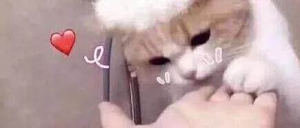 抗老全攻略20岁女生就不用抗老吗,不同年龄阶段抗老攻略