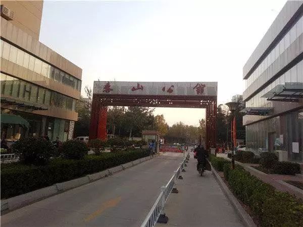 泰安泰山公馆女子坠楼,泰山女子坠桥死亡事件