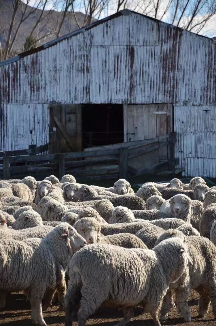 3d床垫值不值得购买,3d床垫价格怎么差这么多