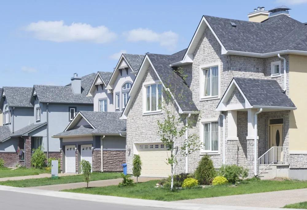 鼠类四害,防治鼠害最佳方法是什么