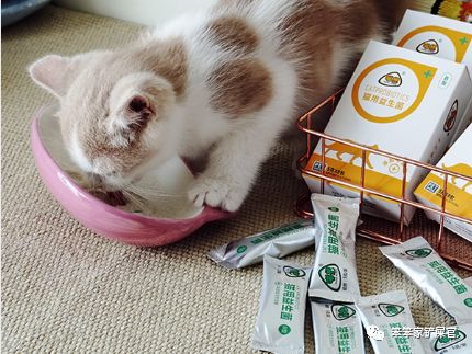 自制猫粮为什么软便,猫咪吃猫粮好还是自制的好