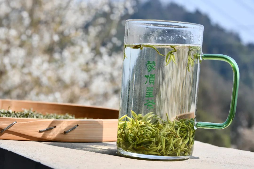 我们争分夺秒加班加点，就是为了奉上今春这第一波蒙顶皇茶！