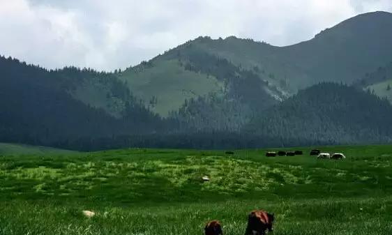 鍘熸潵鎴戜滑鐢樿們鏈夎繖涔堢編,浣犱互涓虹殑鐢樿們寰堢編