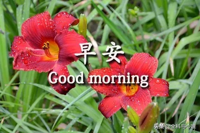 适合中老年人早上发的早上好短句,早上给情人问候早上好图片大全