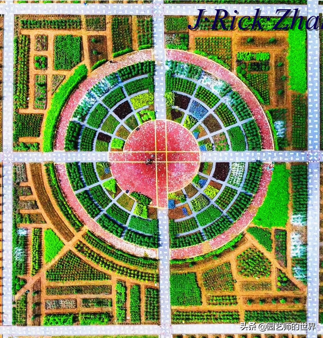 城市蔬菜园景观设计,蔬菜花园造型