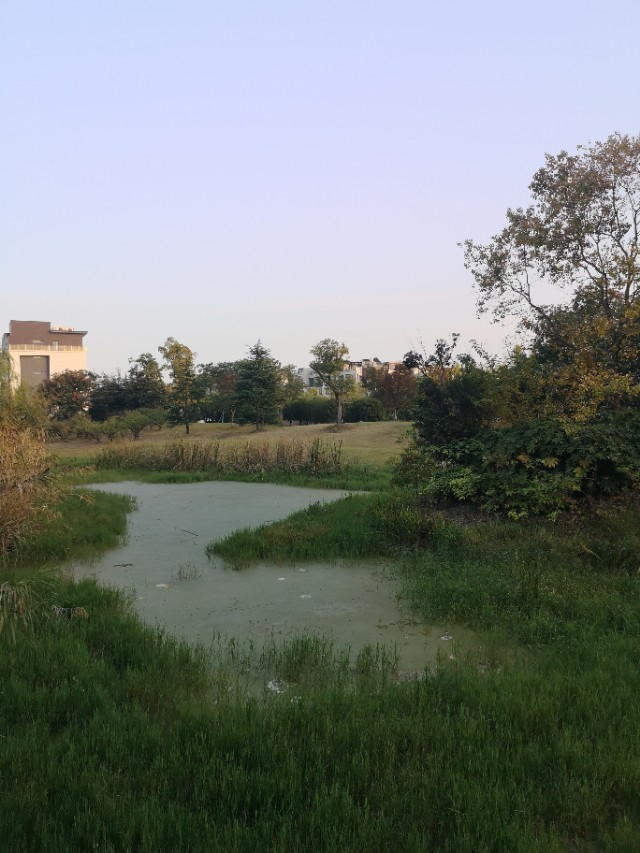 诗意栖居江南,诗意水乡周庄