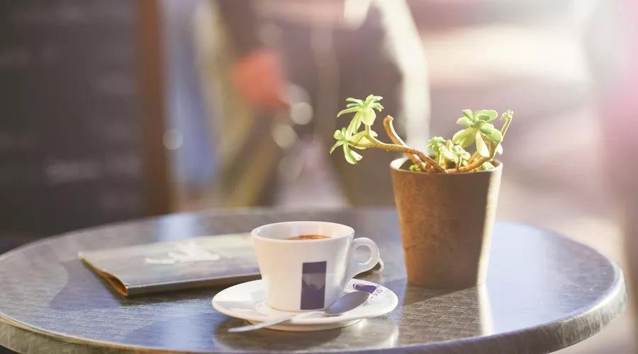 用诗词夸人怎么夸,微信夸夸群中用古诗夸人