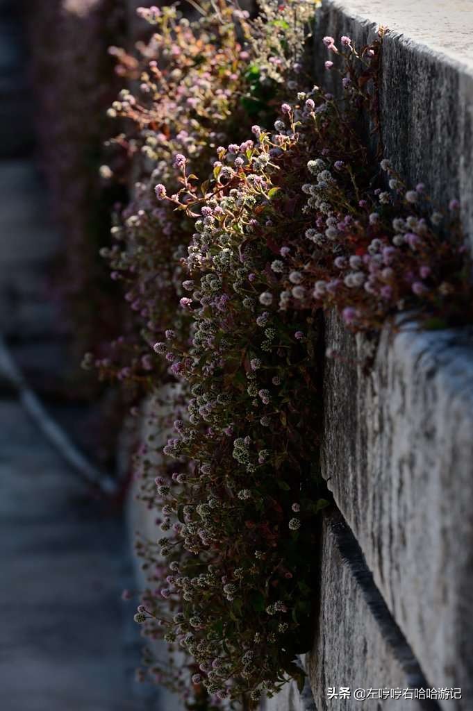 庾澄庆爷爷滇池边故居,庾澄庆的爷爷故居碧溪