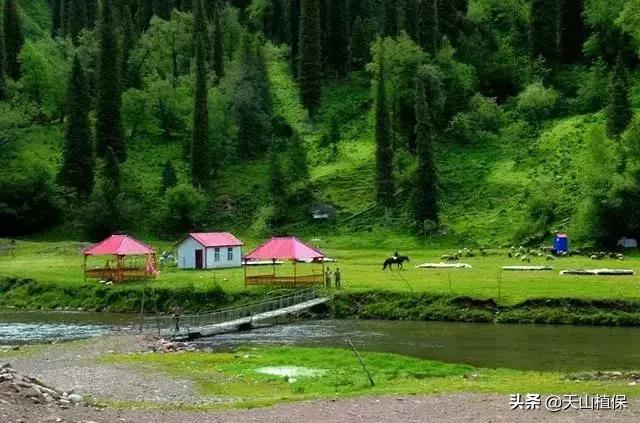 大美新疆百里画廊,北疆千里画廊打卡点