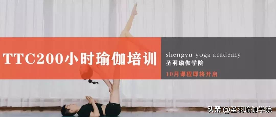 圣羽瑜伽教练班,圣羽瑜伽学院教练视频