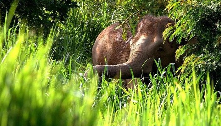 泰国太鲁阁国家公园视频,泰国十大最美国家公园